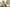 Aktionsbanner