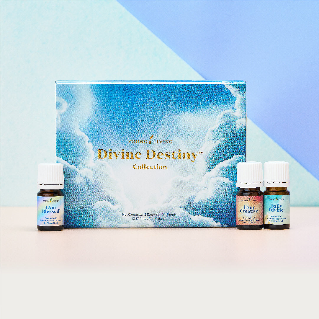 Divine Destiny Collection