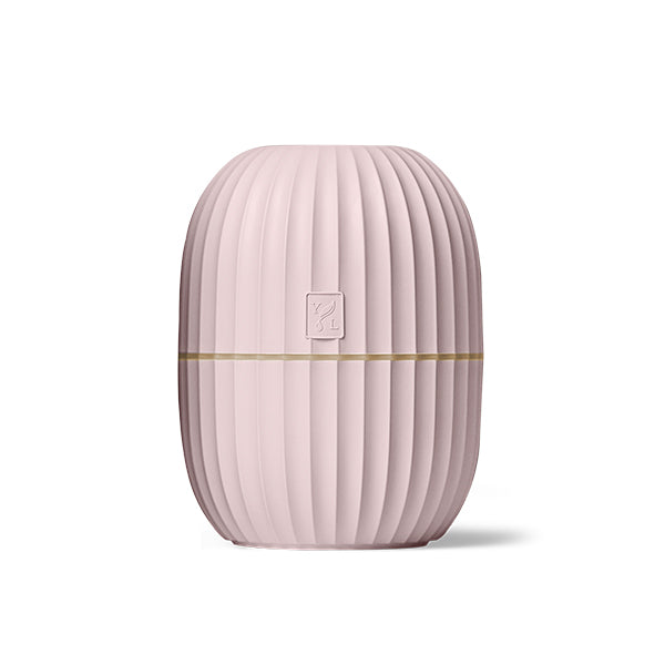 Cactus Diffuser - Rosa