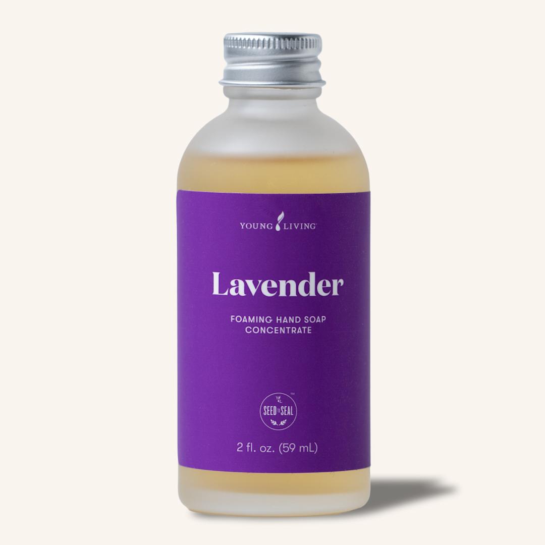 Lavender Foaming Hand Soap Konzentrat