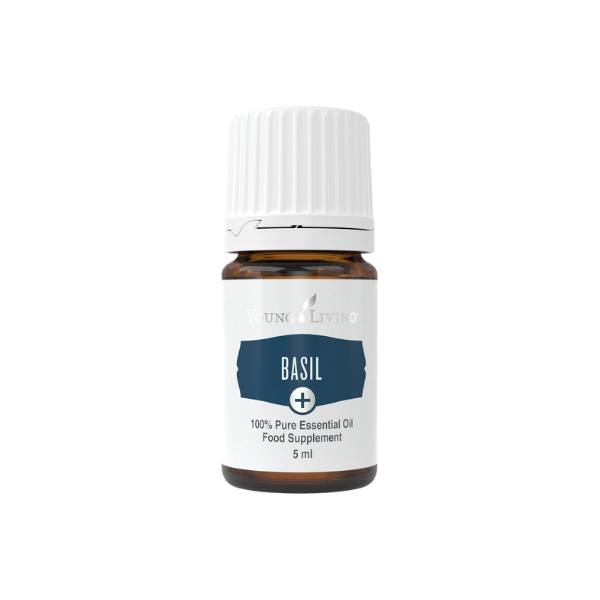 Basil Plus (Basilikum Plus) 5 ml