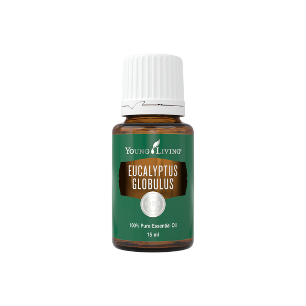 Eucalyptus Globulus 15 ml