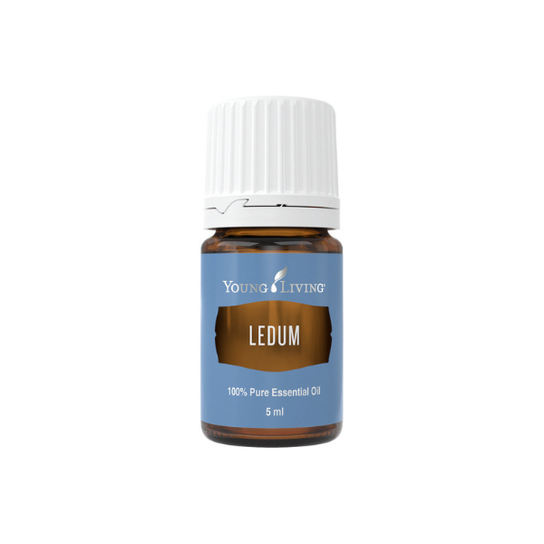 Ledum 5 ml