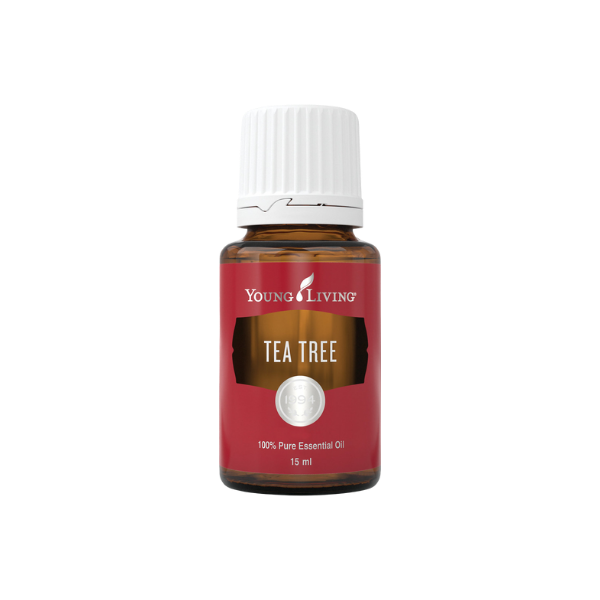 Tea Tree (Teebaum) 15 ml